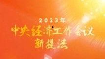 99国产精品视频99,探索中国影视新境界